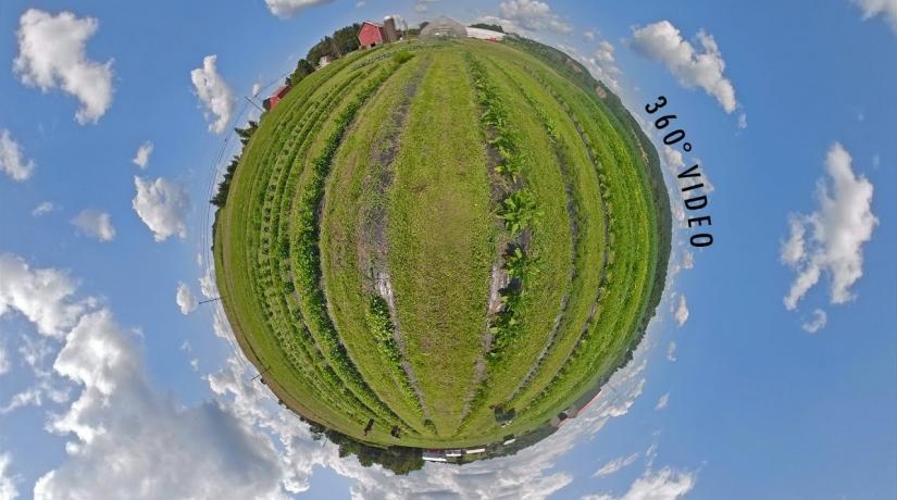 360 degree shot of organic farm