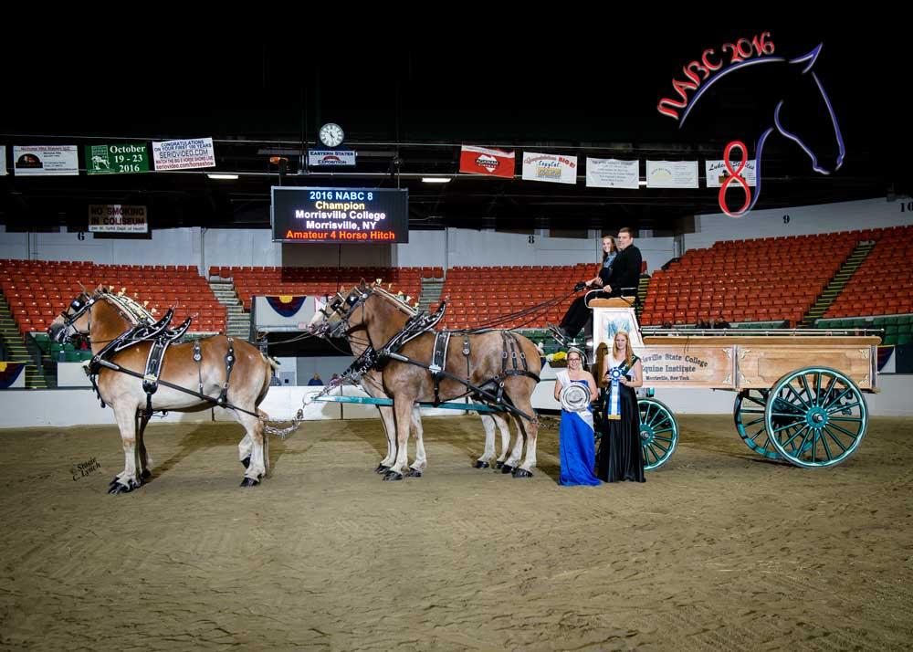 Students showing the draft horse hitch