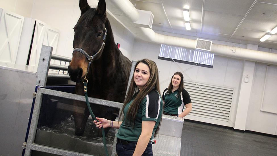 Equine Rehabilitation Center Facility SUNY Morrisville equine-rehabilitation-center-facility-suny-morrisville