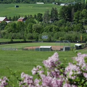 view of softball field surrounded by flowers