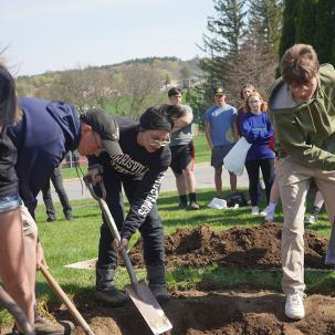 Students plant a tree during SUNY Morrisville's Earth Day celebration.