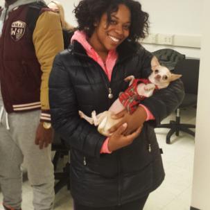 Student holds a therapy chihuahua