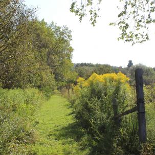 Trail heading south