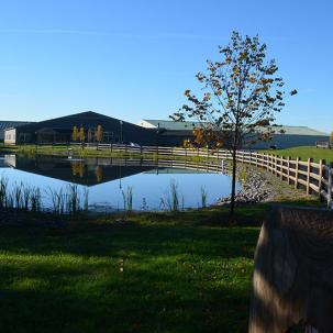 The SUNY Morrisville Equine Rehabilitation Center