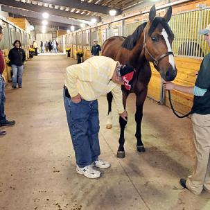 Western Training Barn
