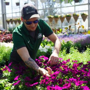 Beck is busy preparing for the plant sale 