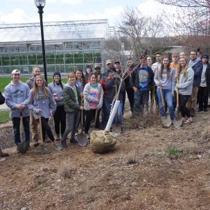 Tree planting