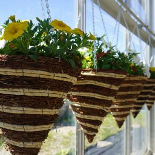 Hanging baskets are part of the sale