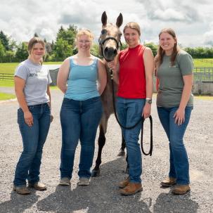 Interns are among those keeping things going at the Equine Rehabilitation Center