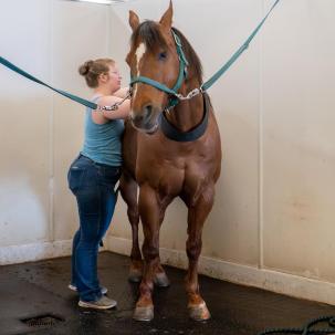 Jerry loving attention from Marisa
