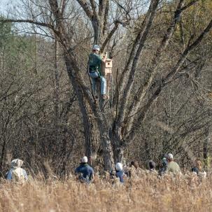 Installing owl boxes during Sustainability Day