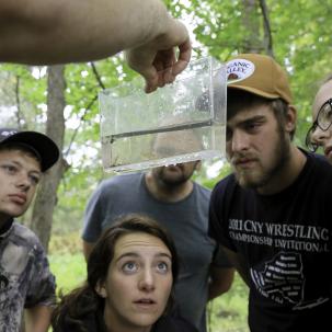 Students in Eric Diefenbacher’s Herpetology class view bluegill fry at Rogers Environmental Education Center in Sherburne.