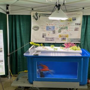 Aquaponics display