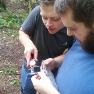 Norwich students measure a species found at Owens West Wildlife Management Area during a “live-learning” Herpetology class.