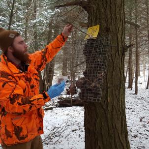 Baiting a predator monitoring camera trap