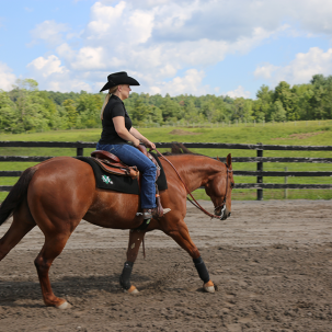 Student riding a horse in Western style
