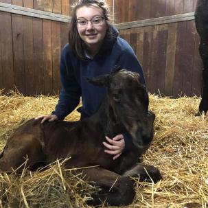 Student with a newborn foal