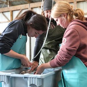 Students participated in trout spawning in Elisa Livengood’s class.