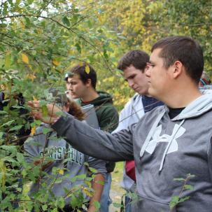 Dendrology Class