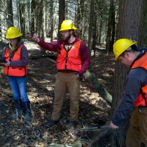 Three students conducting a deer pellet count