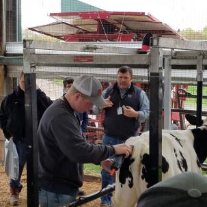 The agricultural business degree offers students the flexibility to enroll in livestock, agronomy, dairy, horticulture, equine, and many other agriculture courses.