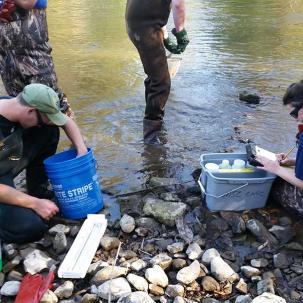 Environmental conservation students do field work.