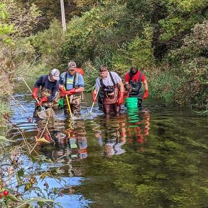 Environmental conservation students do field work.