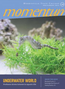 Spring 2018 Momentum