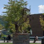 Admin quad